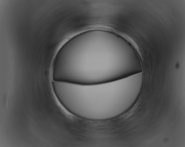 X0000094791391200711160906