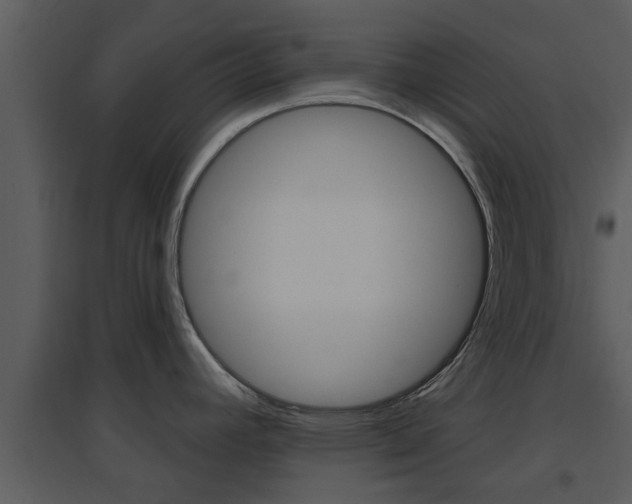 X0000094791392200711160906