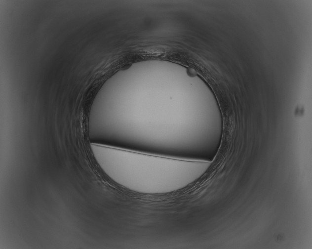 X0000094791394200711160905