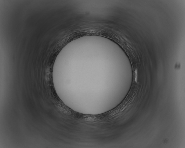 X0000094791395200711160905