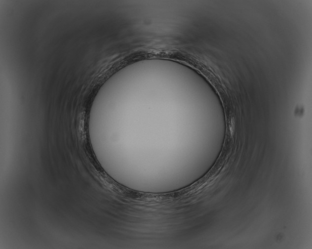 X0000094791396200711160905