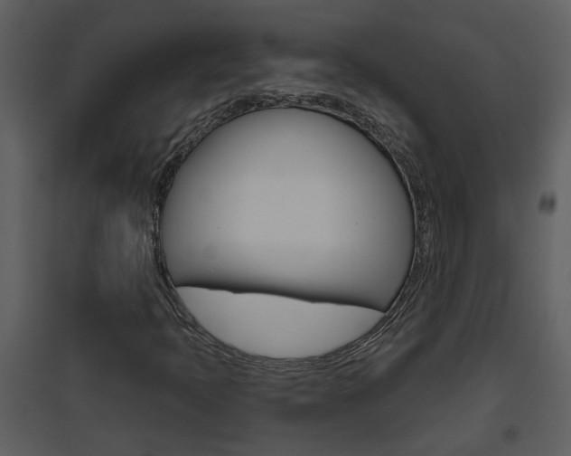 X0000094791397200711160905