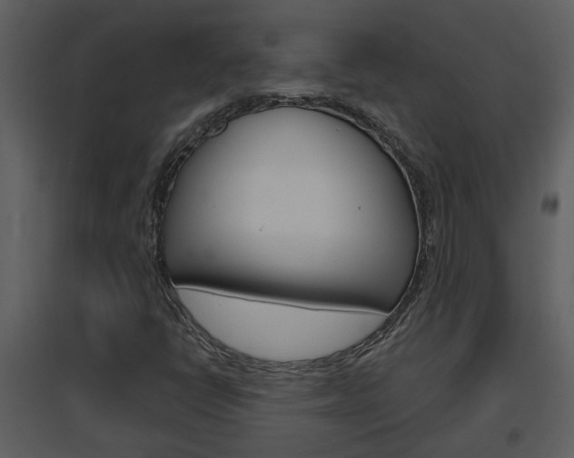 X0000094791398200711160905