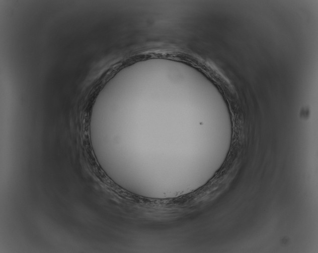 X0000094791399200711160905