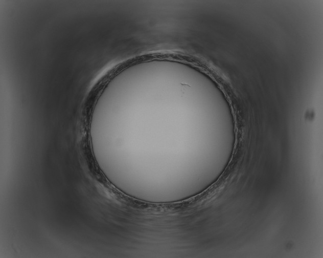X0000094791400200711160905