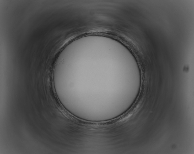 X0000094791401200711160905