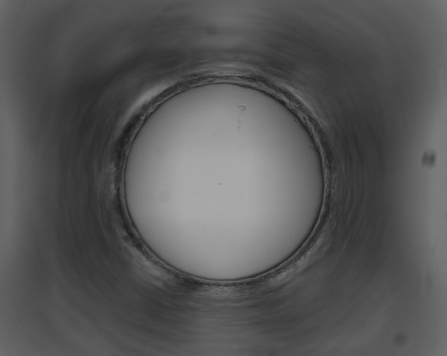 X0000094791402200711160905