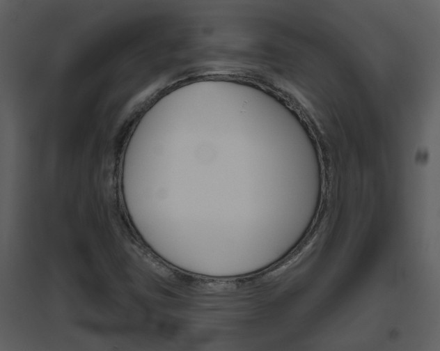 X0000094791403200711160905