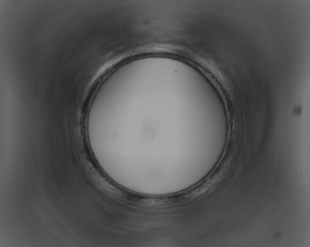 X0000094791404200711160905