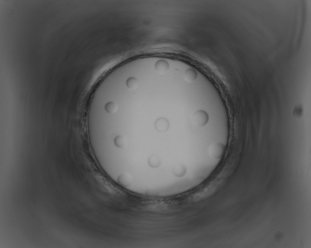 X0000094791405200711160905