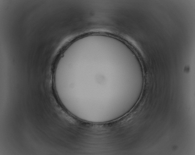 X0000094791408200711160905