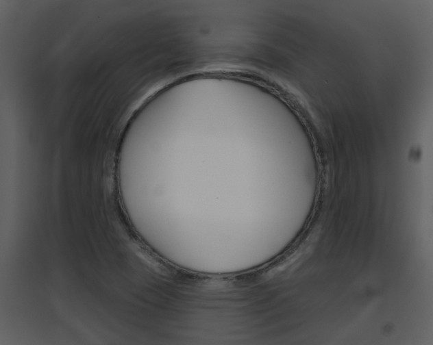 X0000094791409200711160905