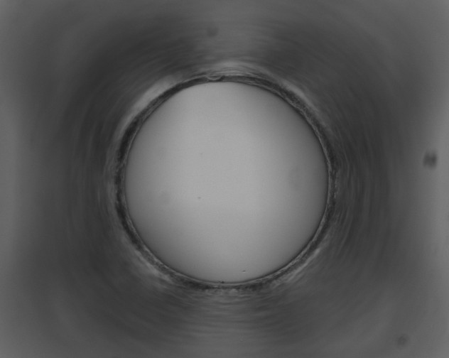 X0000094791410200711160905