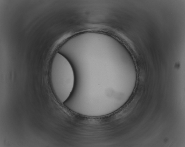 X0000094791411200711160905