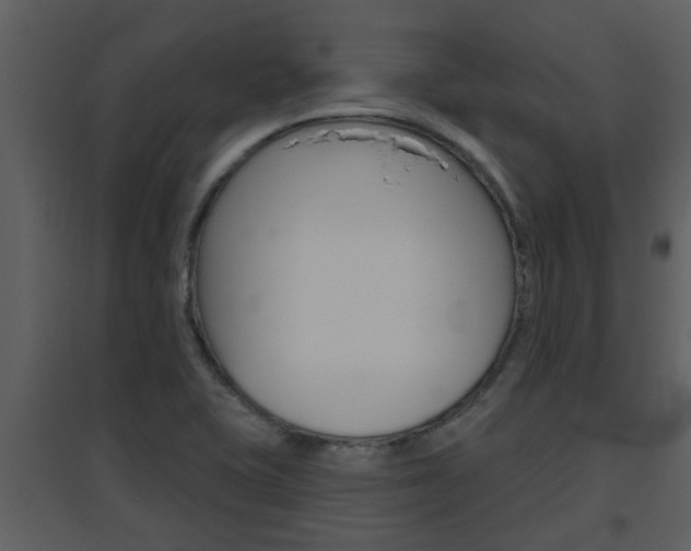 X0000094791415200711160906