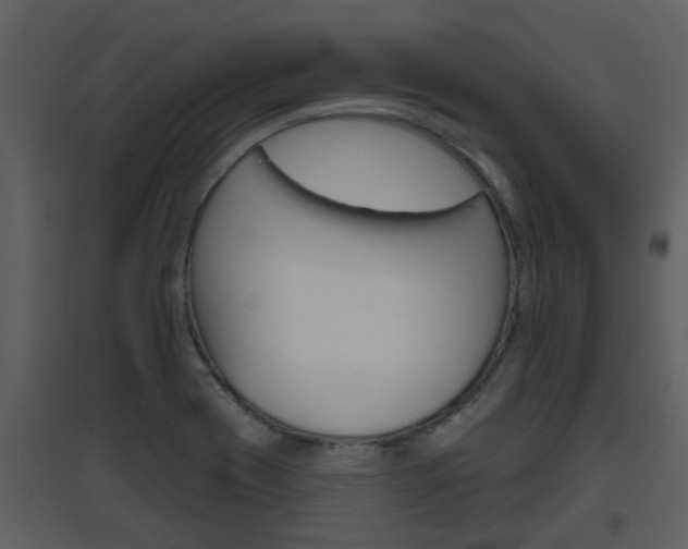 X0000094791417200711160906