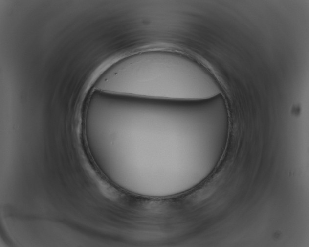 X0000094791418200711160906