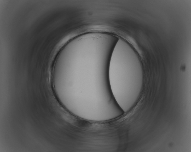 X0000094791419200711160906
