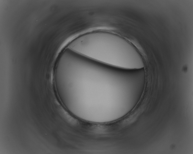 X0000094791420200711160906