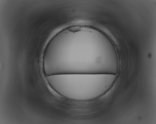 X0000094791421200711160906