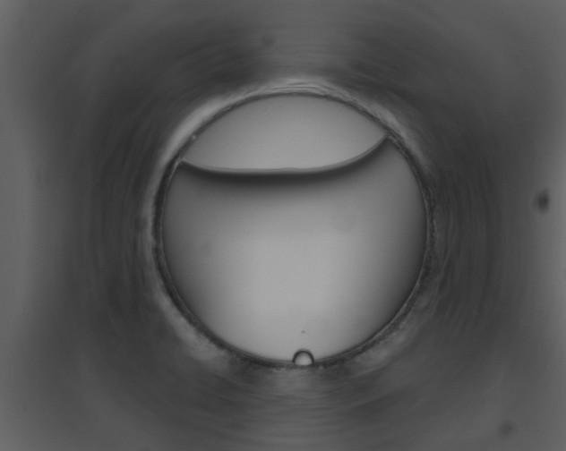 X0000094791422200711160906