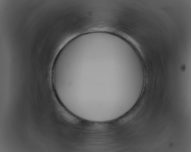 X0000094791423200711160906