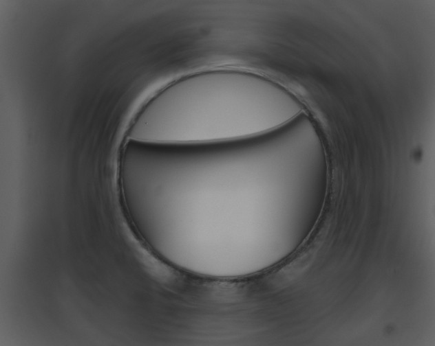 X0000094791424200711160906