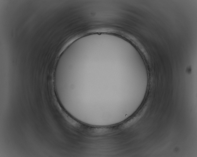 X0000094791425200711160906