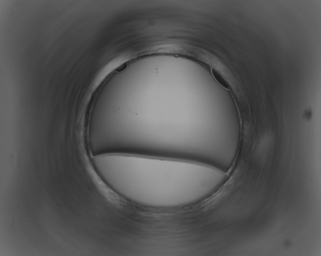 X0000094791426200711160906