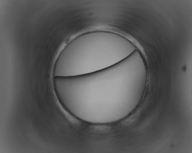 X0000094791429200711160906