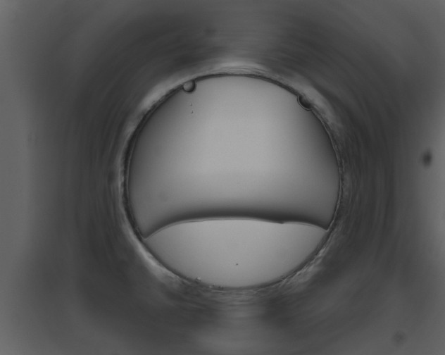 X0000094791430200711160906