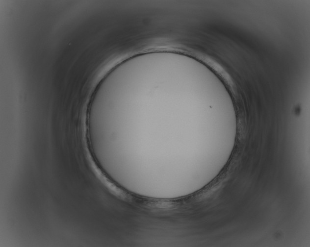 X0000094791431200711160906