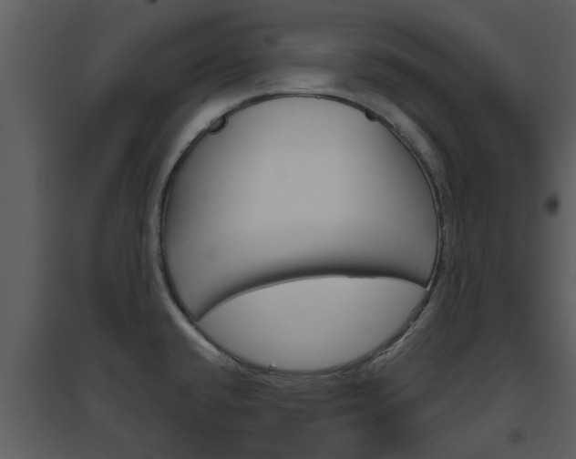 X0000094791432200711160906