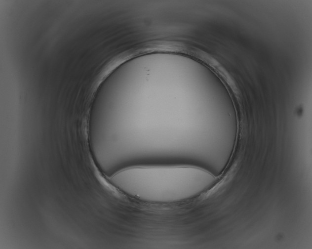 X0000094791433200711160906
