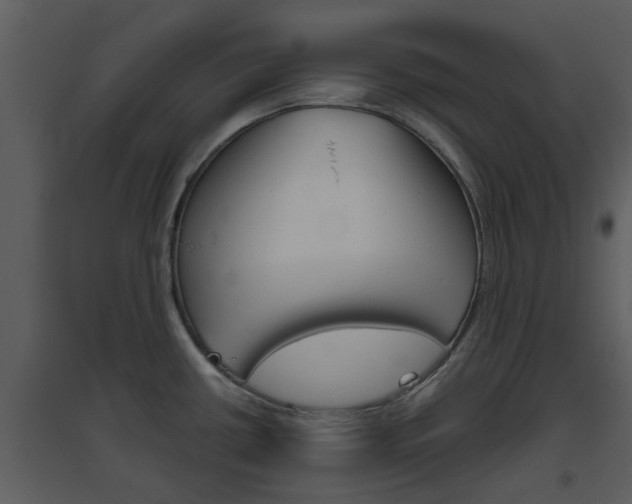X0000094791434200711160906
