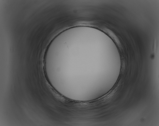 X0000094791435200711160906