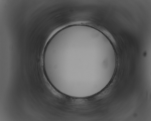 X0000094791436200711160906