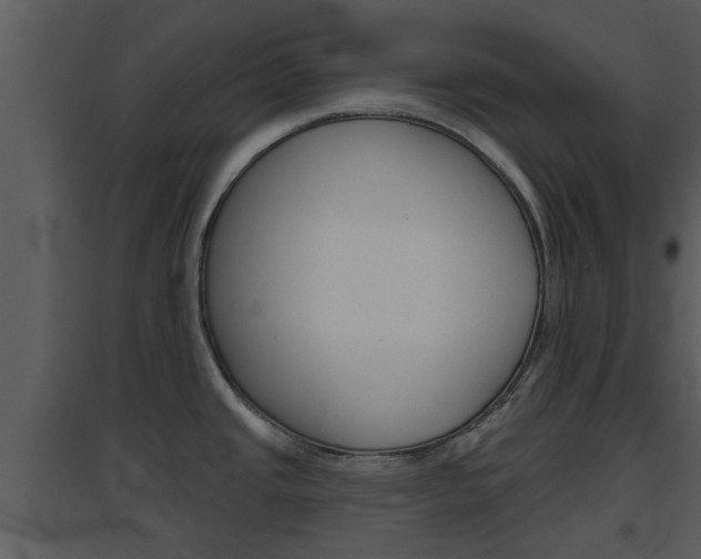 X0000094791437200711160906