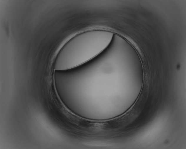 X0000094791438200711160906