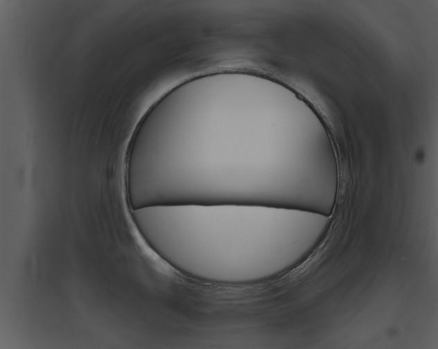 X0000094791439200711160906