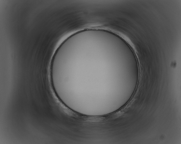 X0000094791440200711160906