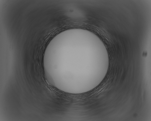 X0000094791441200711160905