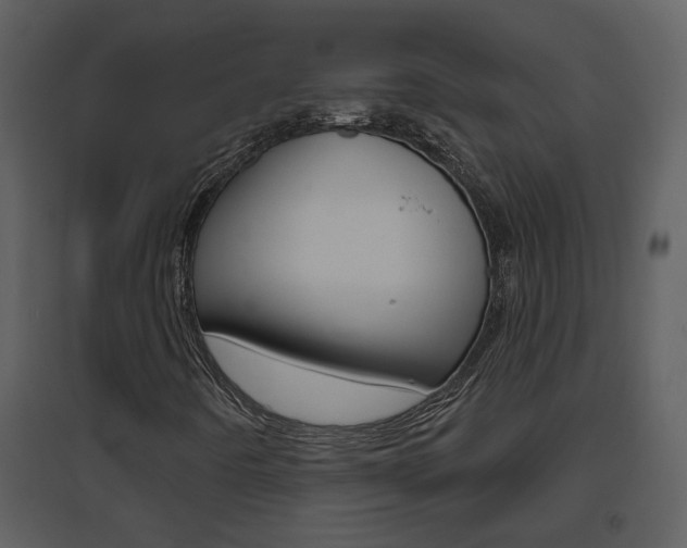 X0000094791442200711160905