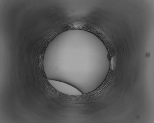 X0000094791443200711160905