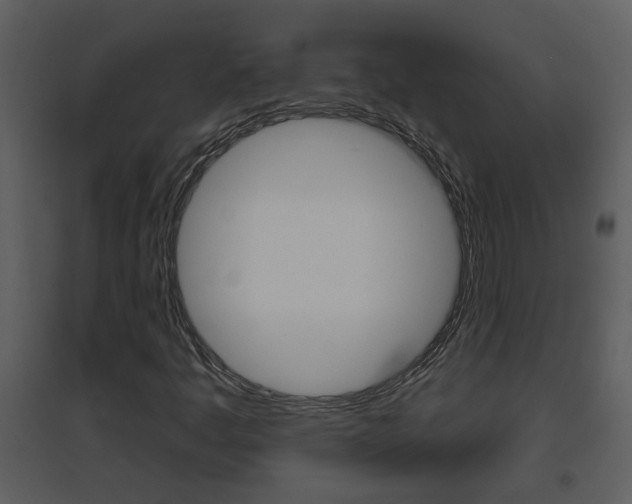 X0000094791445200711160905