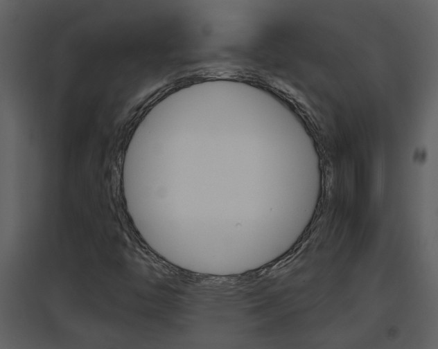 X0000094791446200711160905