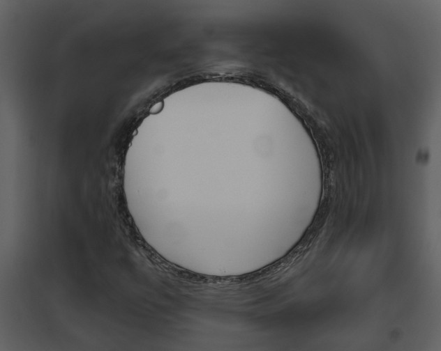 X0000094791447200711160905