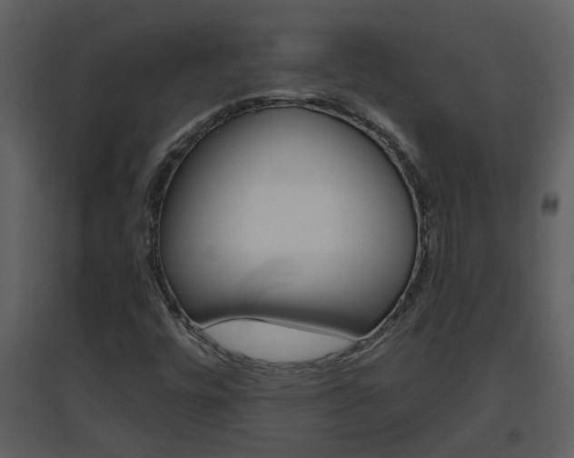 X0000094791448200711160905