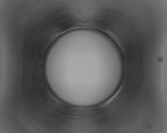 X0000094791449200711160905