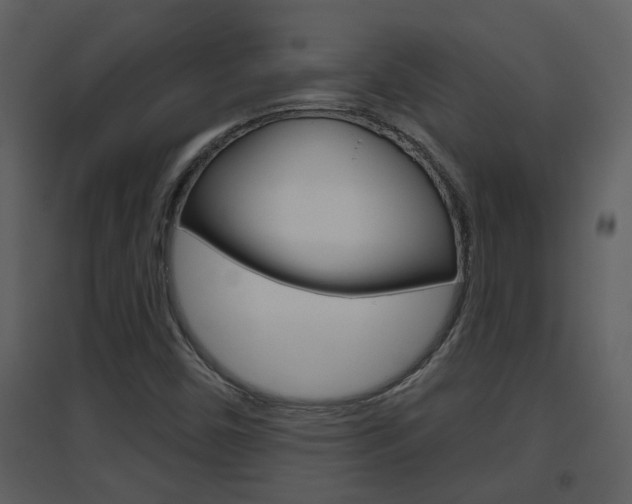 X0000094791450200711160905